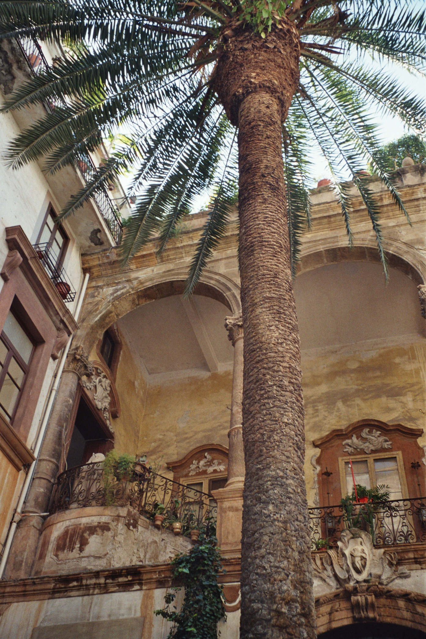 Patio in Palermo