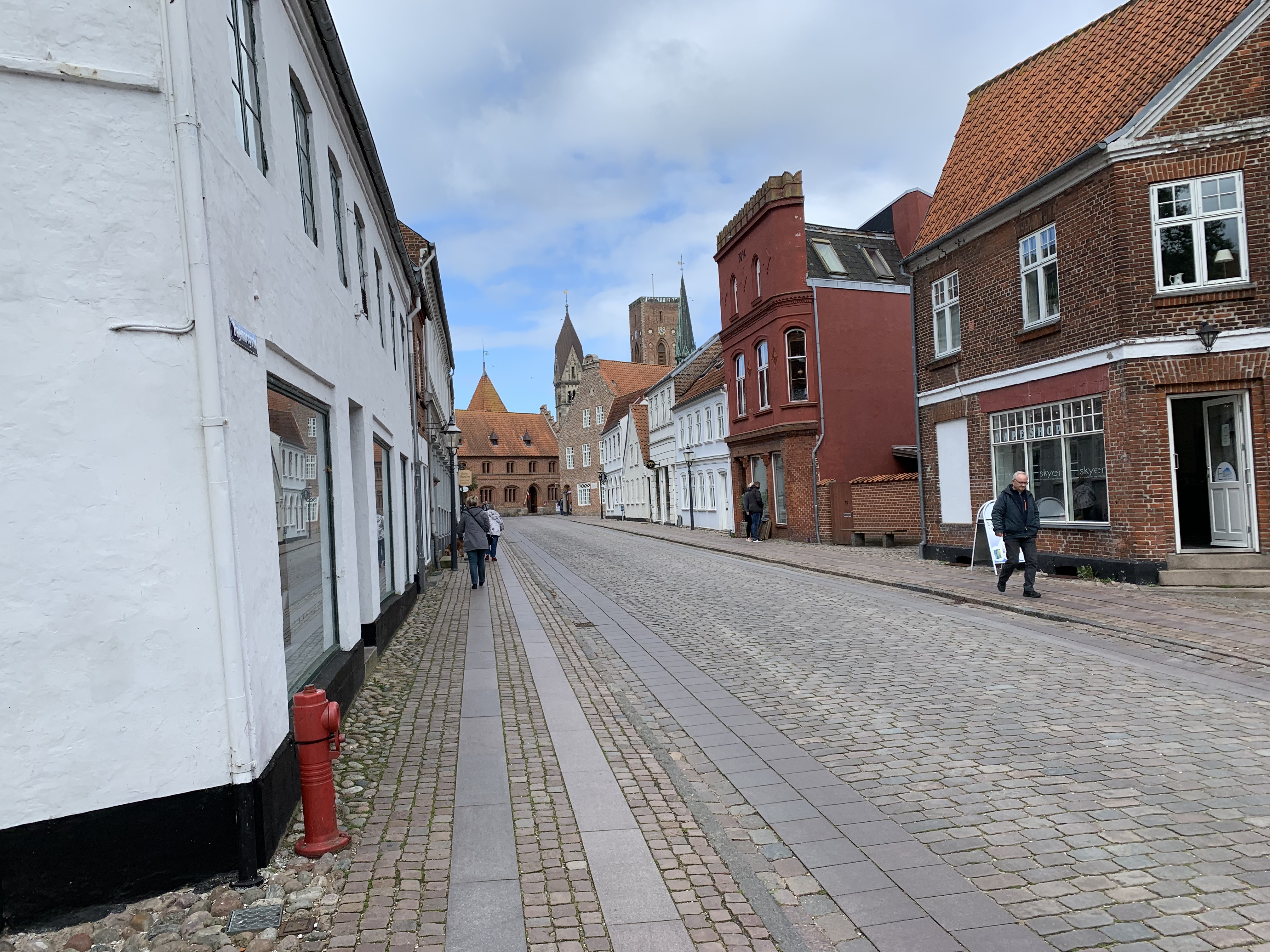 Ribe1