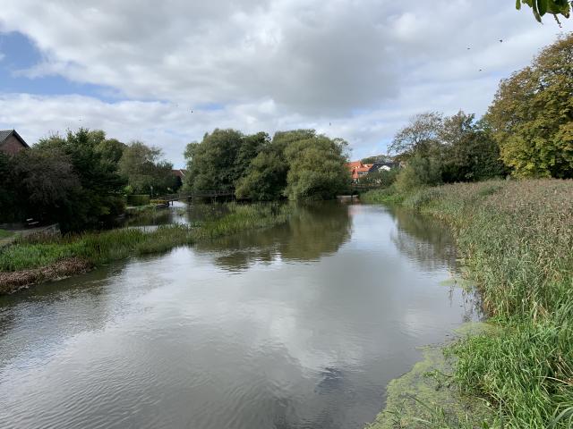 Ribe3