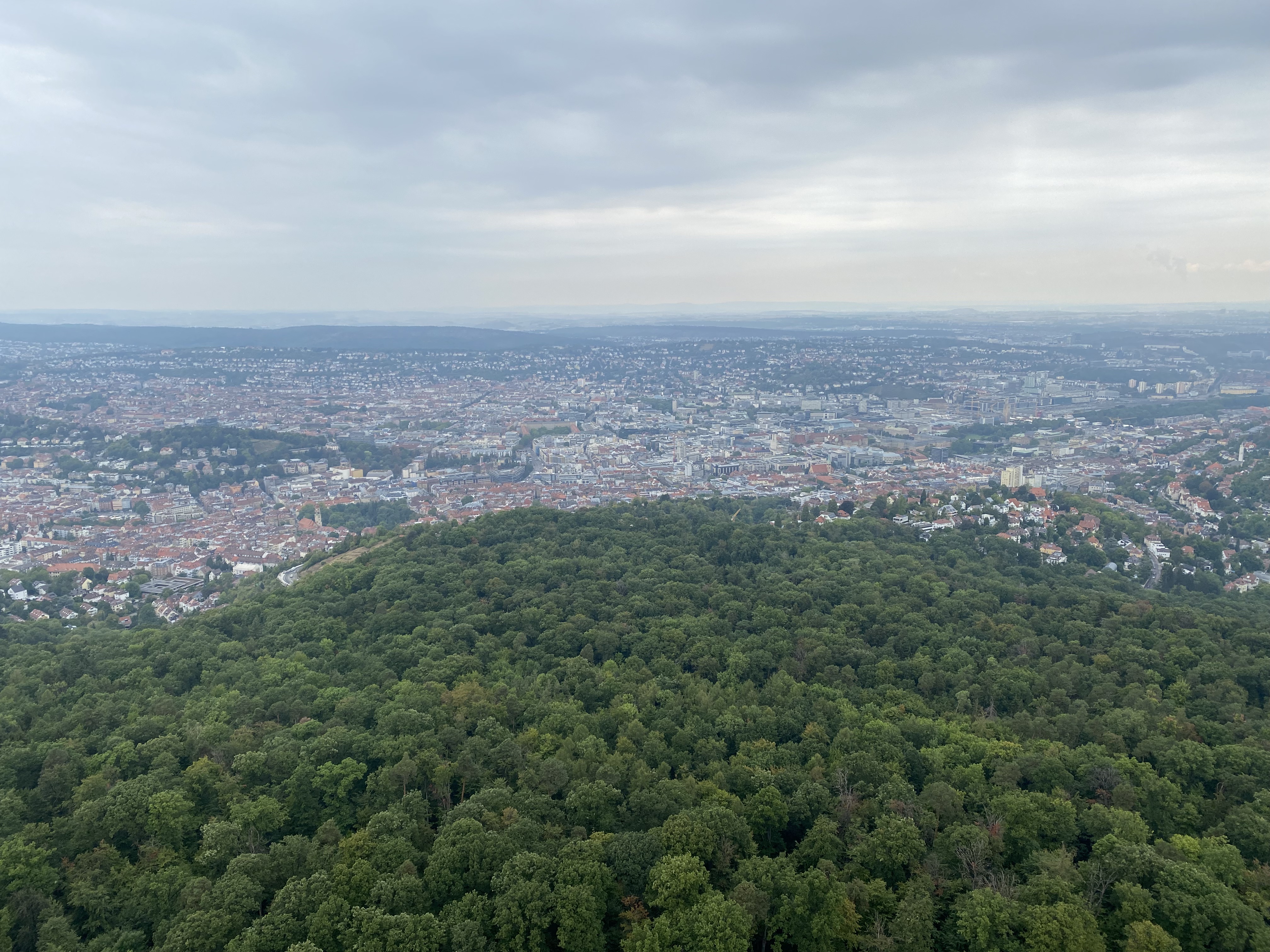 IMG_6417