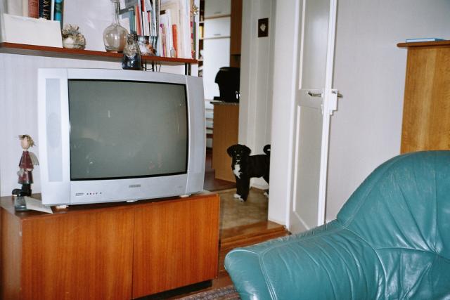 LARGE09