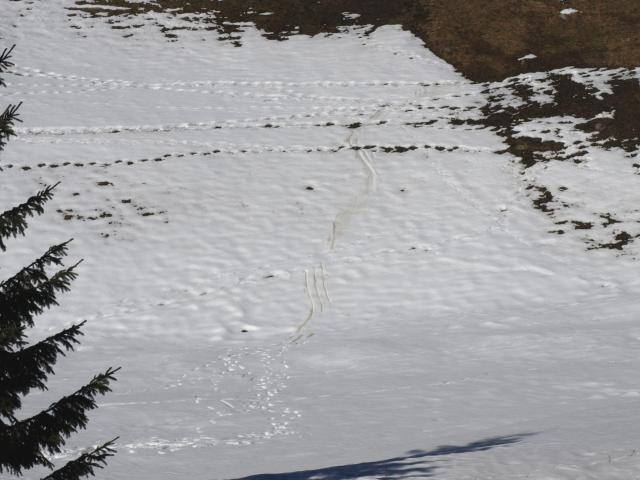 Schleif- und Fussspuren im Schnee