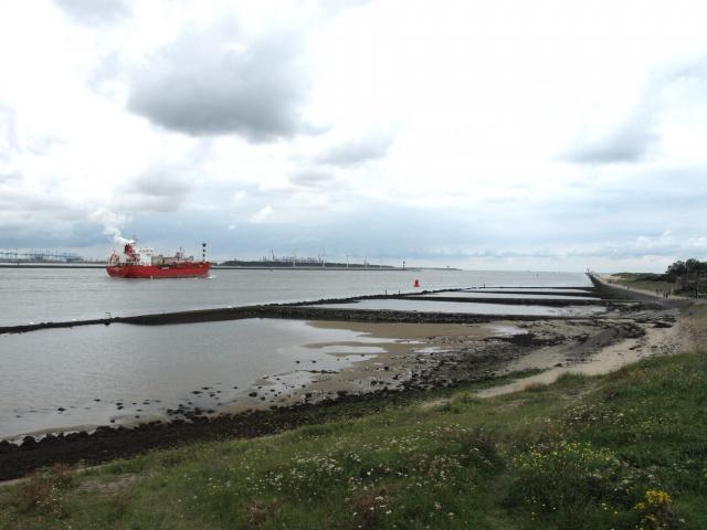 P8316271