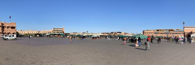IMG_3446