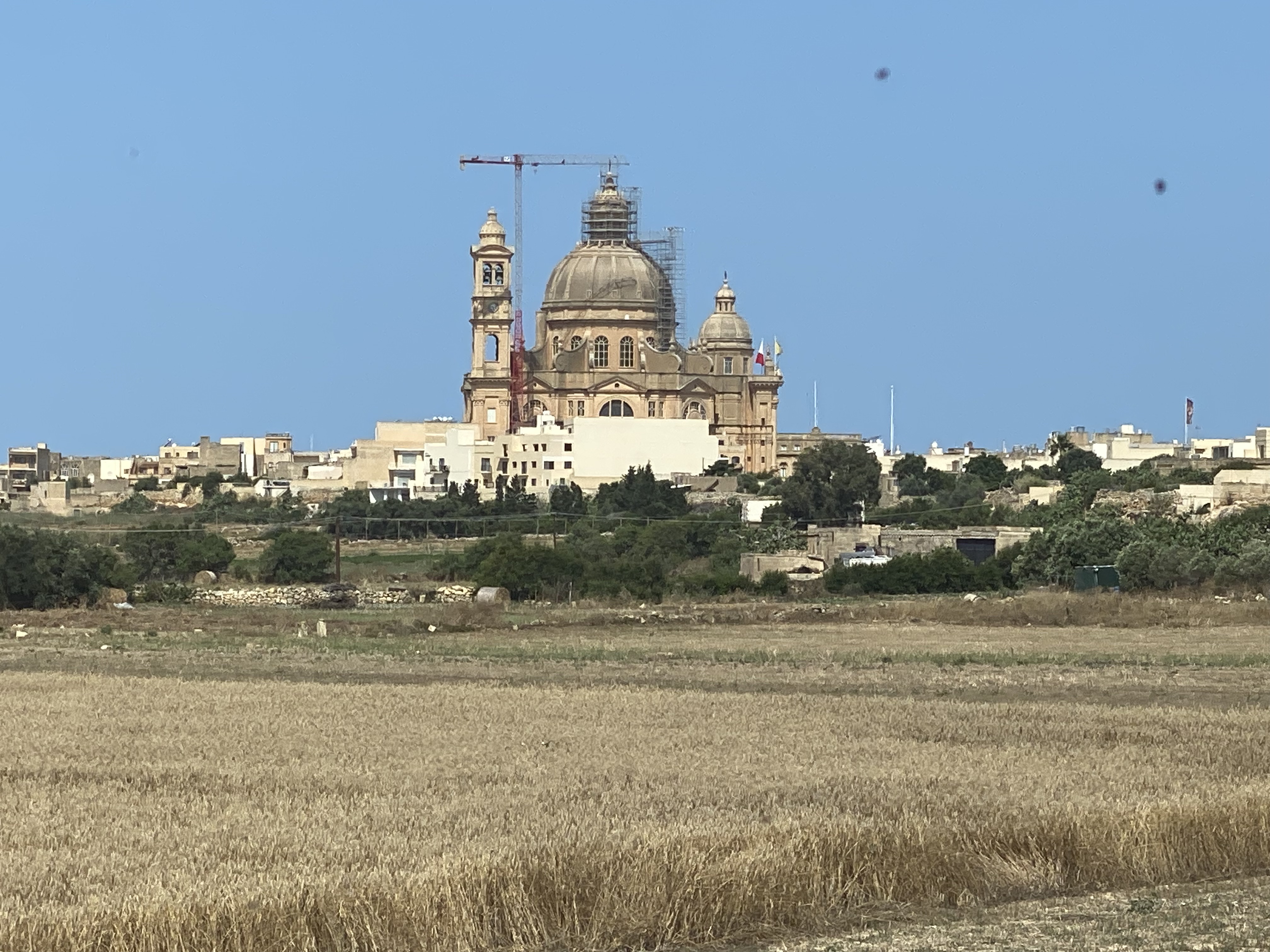 IMG_4569