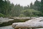 Olympic National Park