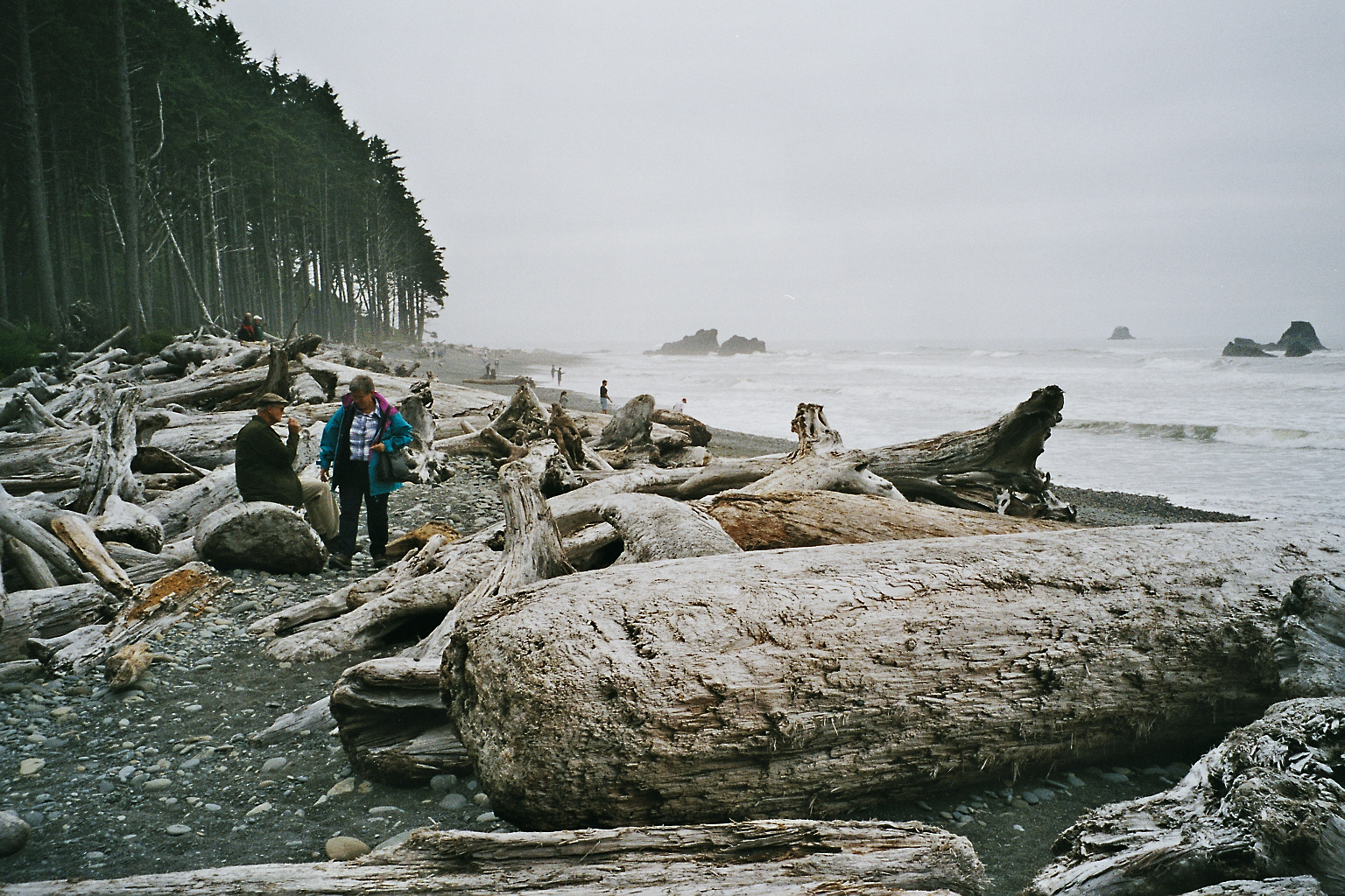 35_Ruby Beach