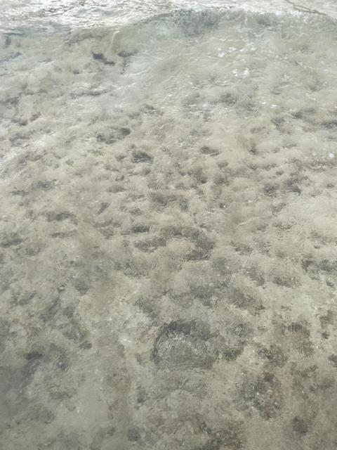 Hineingehen nur mit Schuhen