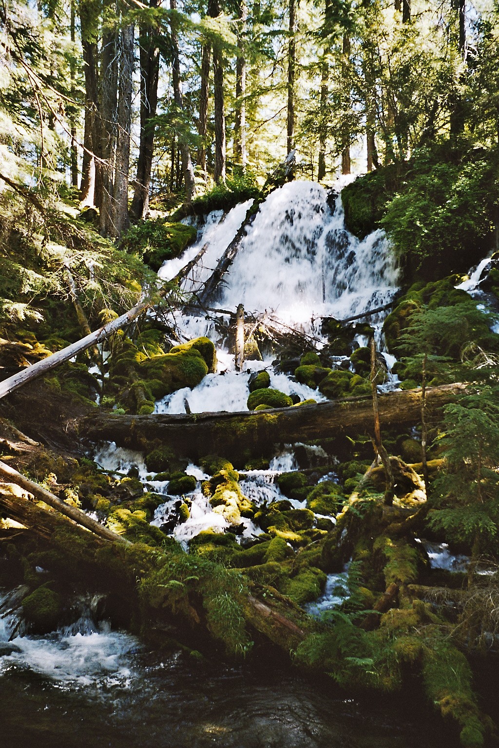 23_Wasserfall im Wald