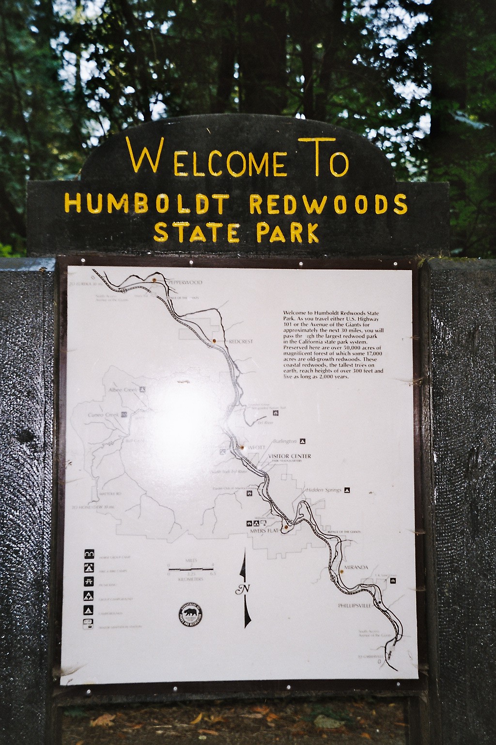 06__Humboldt Redwoods State Park