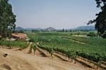 22_Napa Vally