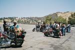 36_Harley Davidsons