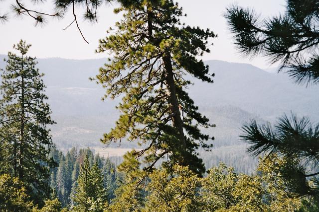 05__Blick ins Yosemitetal