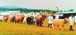 Black Isle Show