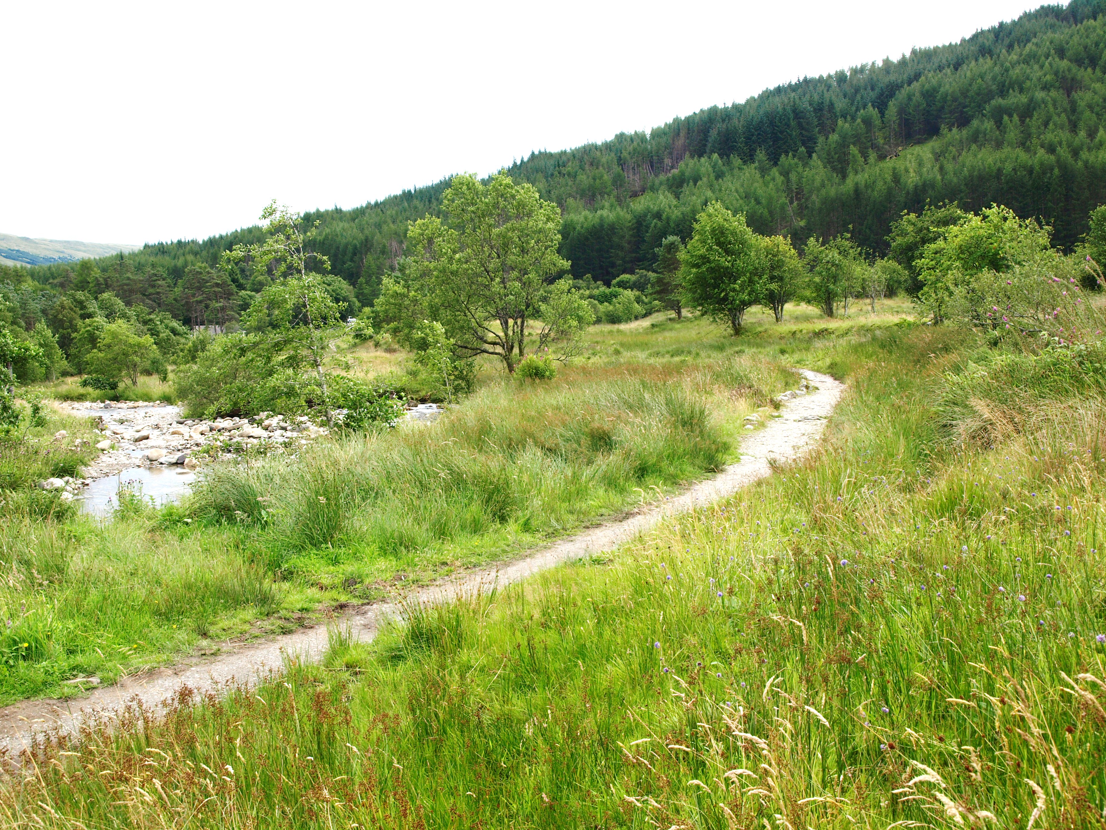 Cow Trail bei Tyndrum