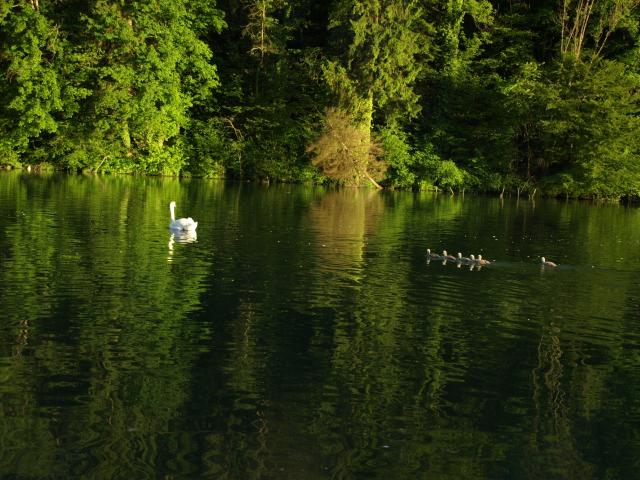 P5231073