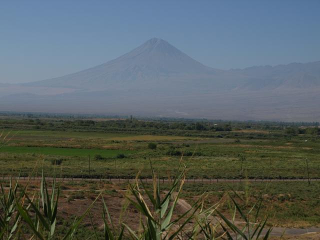 P9043310