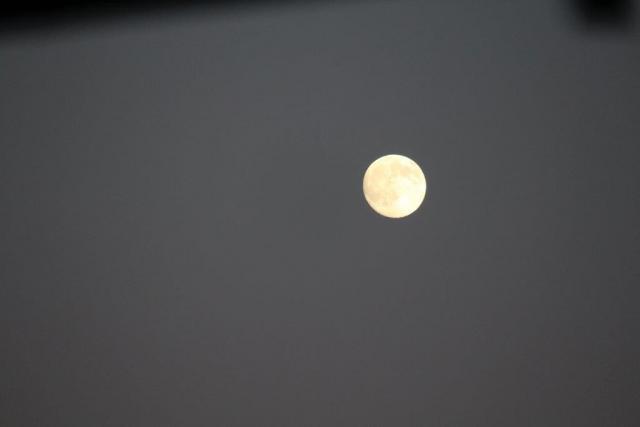 IMG_0546