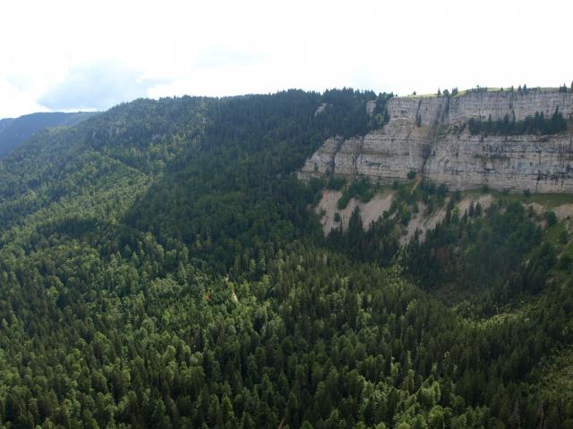P8126463