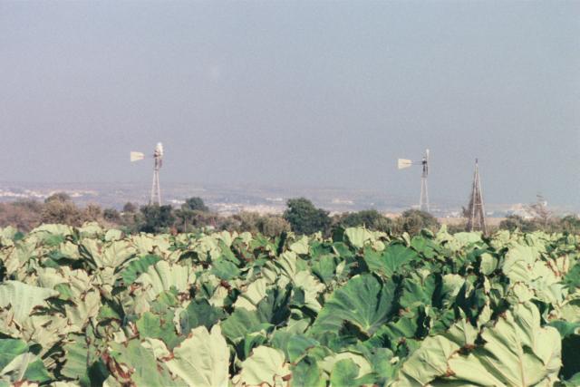 26_23a