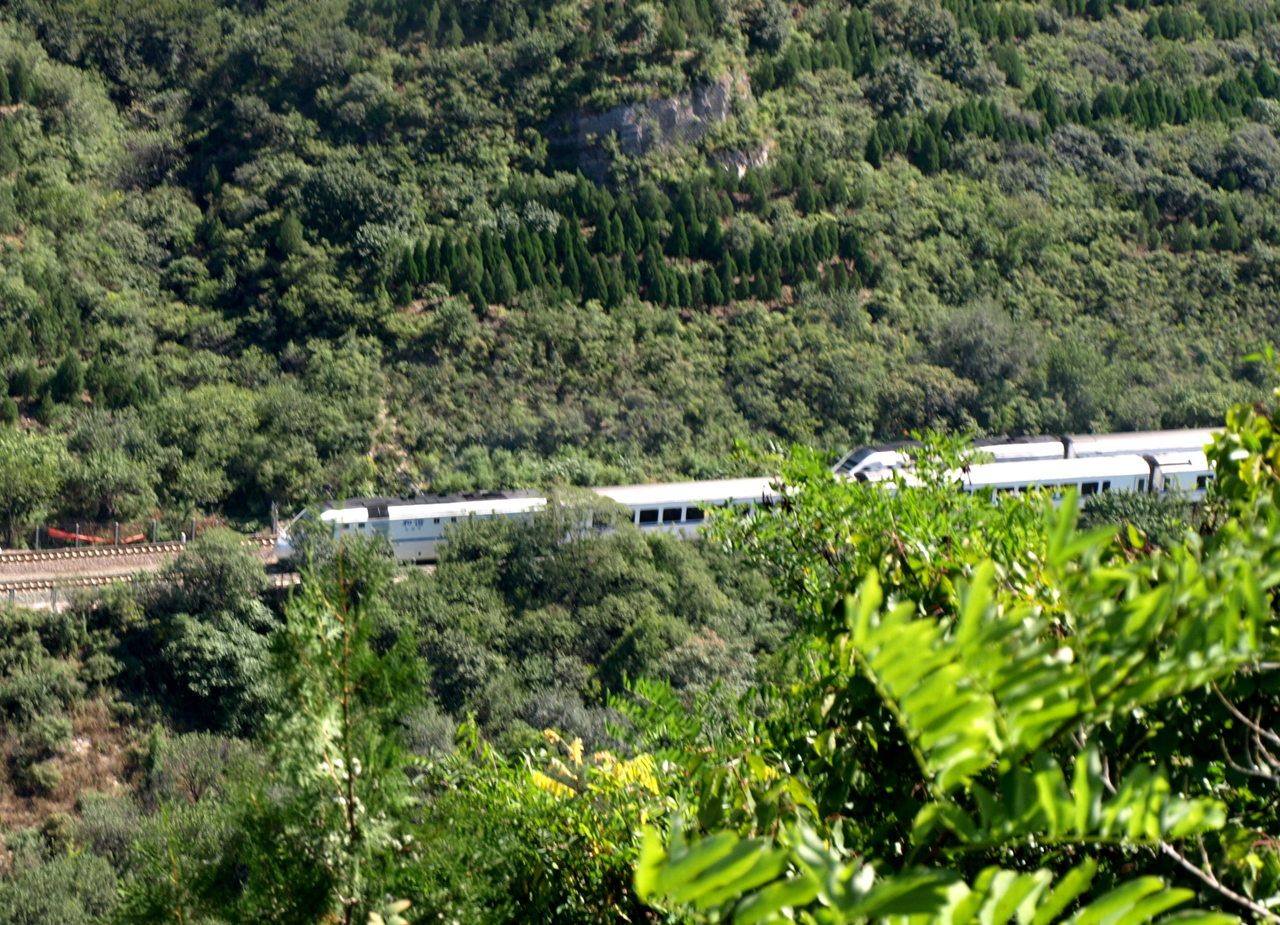 ... Eisenbahn kreuzen vor unseren Augen