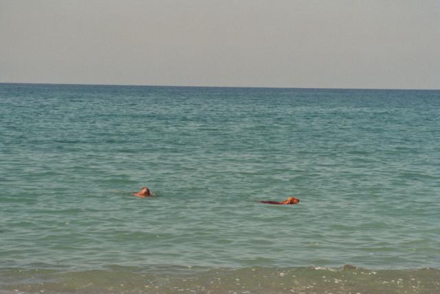 bald sind sie zurück am Strand