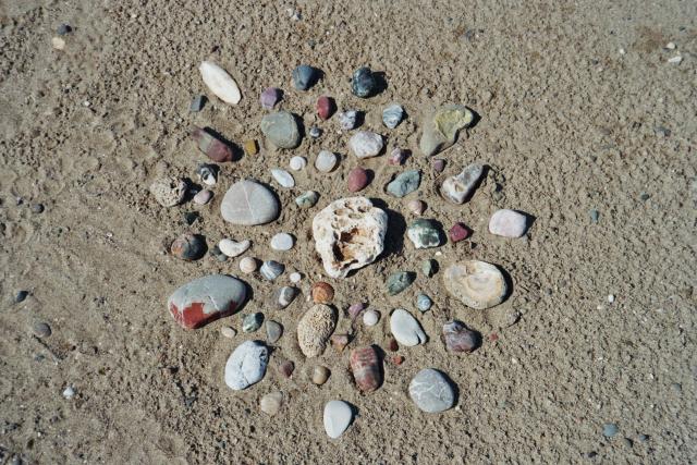 Unsere Steinsammlung ist 
zurück am Strand