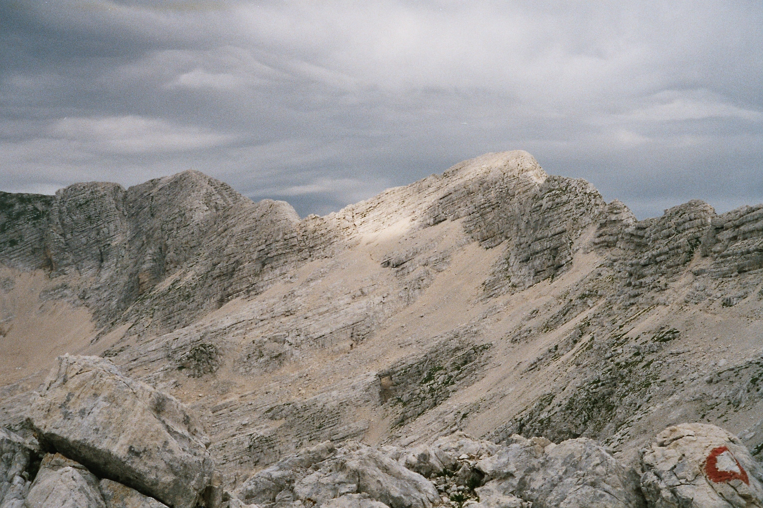 20 der Kanin