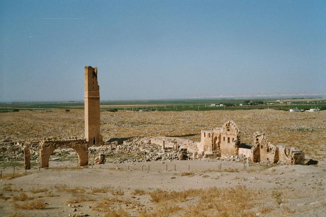 Harran Moschee, Koranschule
1. Islamische Universität