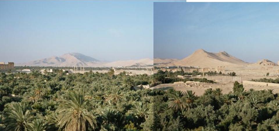 Palmyra, Blick über die Oase zum Tempel