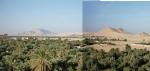 Palmyra, Blick über die Oase zum Tempel